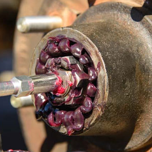 Wheel Bearings & Brakes
